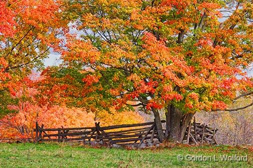 Autumn Landscape_29492.jpg - Photographed near Maberly, Ontario, Canada.